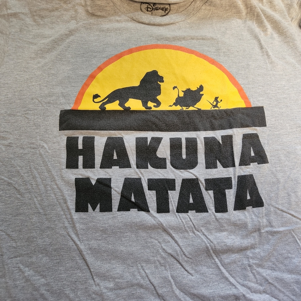 Disney Lion King Hakuna Matata SS Graphic Tshirt Mens 2X